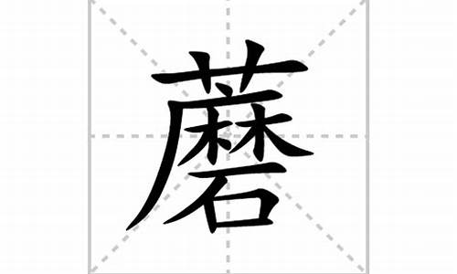 蘑字组词