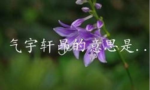 气宇轩昂的意思是什么_气宇轩昂的意思是什么意思